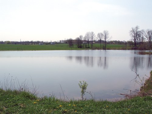 Property photo 4 - 188 Acres Offered in 5 Tracts